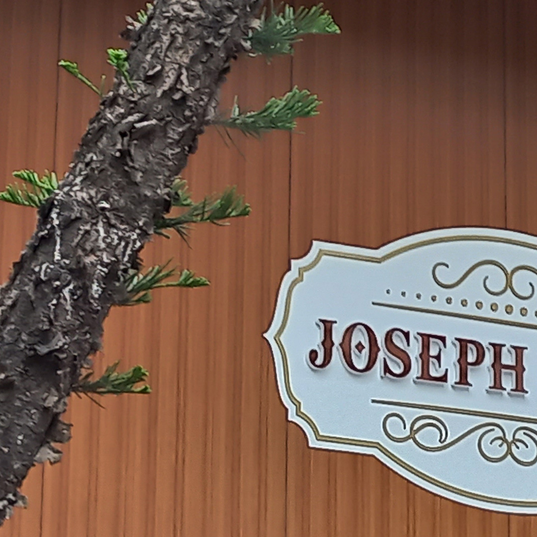 Joseph Villa